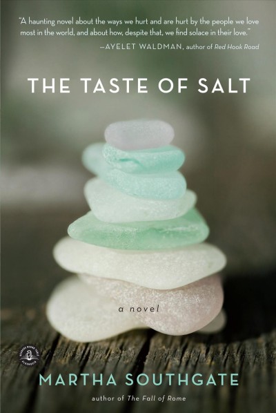 The taste of salt [electronic resource] : a novel / by Martha Southgate.