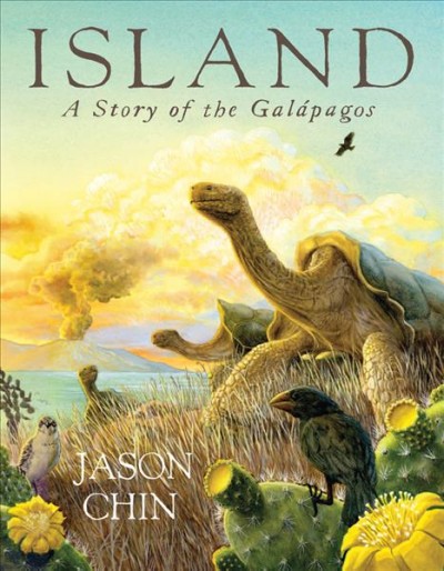 Island : a story of the Galápagos / Jason Chin.