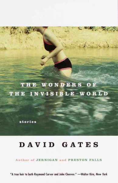 The wonders of the invisible world [electronic resource] : stories / by David Gates.