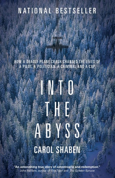 Into the abyss [electronic resource] : how a deadly commuter plane crash changed the lives of a pilot, a politician, a criminal and a cop / Carol Shaben.