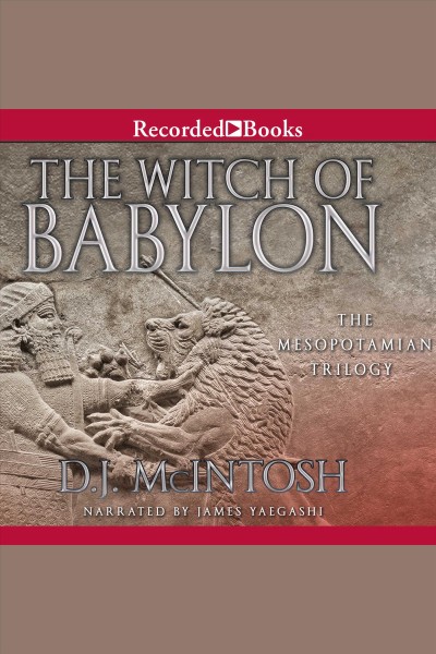 The witch of babylon [electronic resource] / D.J. McIntosh.