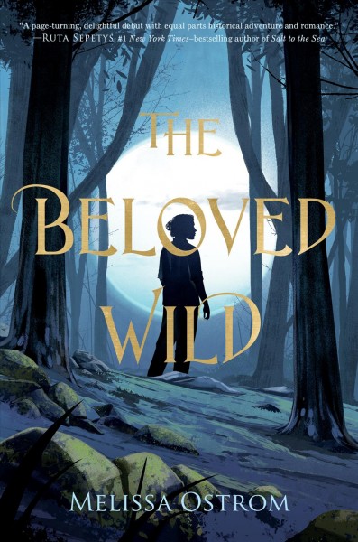 The beloved wild / Melissa Ostrom.
