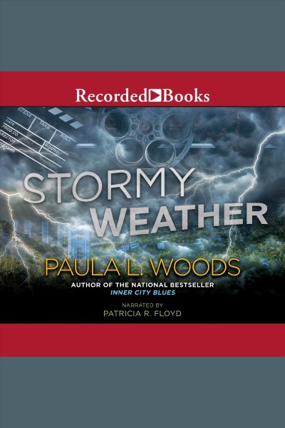 Stormy weather [electronic resource] / Paula Woods.