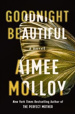 Goodnight beautiful : a novel / Aimee Molloy.