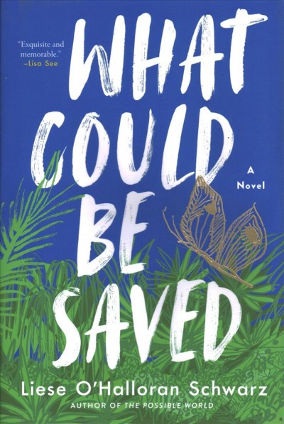 What could be saved : a novel / Liese O'Halloran Schwarz.