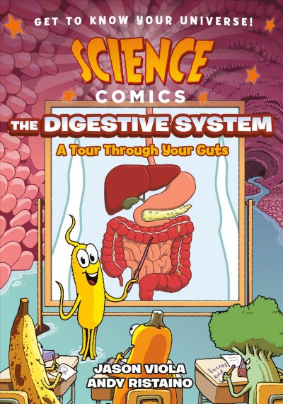 The Digestive System A Tour Through Your Guts.