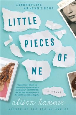 Little pieces of me : a novel / Alison Hammer.