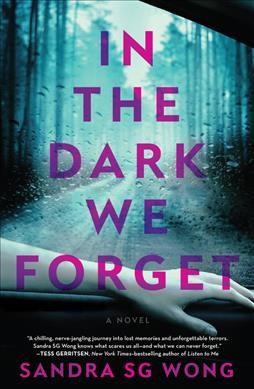 In the dark we forget : a novel / Sandra SG Wong.