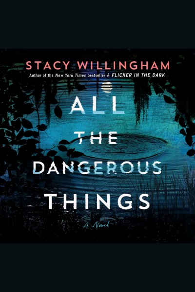 All the dangerous things [electronic resource] : A novel. Stacy Willingham.
