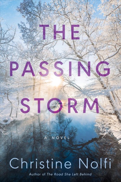 The passing storm : a novel / Christine Nolfi.