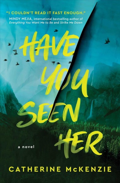 Have you seen her : a novel / Catherine McKenzie.
