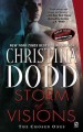 Storm of visions Cover Image