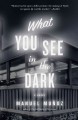 What you see in the dark a novel  Cover Image