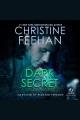Dark secret Cover Image