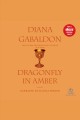 Dragonfly in amber Cover Image