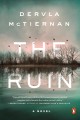 The ruin : a novel  Cover Image