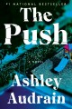 The push : a novel  Cover Image