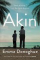 Akin : a novel  Cover Image