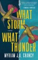 What Storm, What Thunder  Cover Image